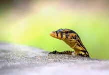 Dlaczego warto monitorować swoje social media? Dlaczego warto monitorować swoje social media?