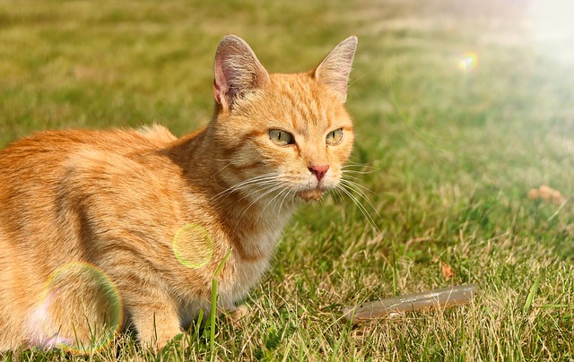 Jak ciekawie spędzić wolny czas? Jak ciekawie spędzić wolny czas?