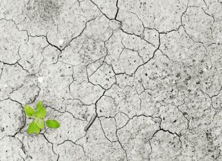 Co powoduje niszczenie środowiska? Co powoduje niszczenie środowiska?