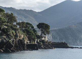 Ile kosztuje MS Office do domu? Ile kosztuje MS Office do domu?