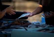 Gdzie sprzedawać kursy online? Gdzie sprzedawać kursy online?